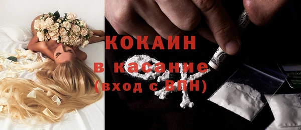 дживик Абаза
