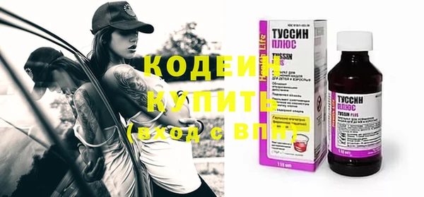 дживик Абаза