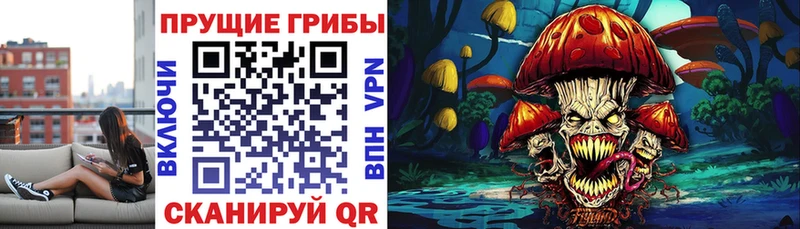 цены наркотик  Североморск  Псилоцибиновые грибы мицелий 